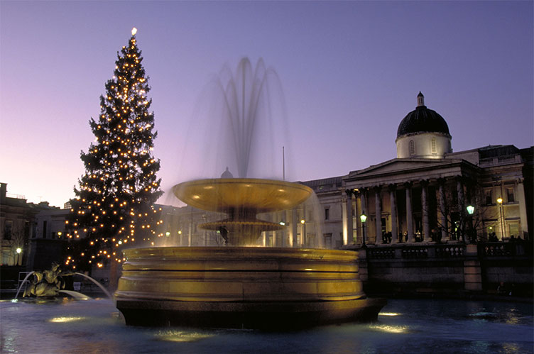 Різдвяну ялинку на Трафальгарській площі Лондона можна вважати ідеальною: 
її висота — майже 20 м, а від довжелезних гірлянд перехоплює подих.