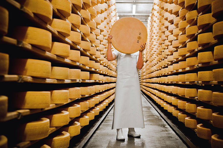 Добре народитися у Швейцарії: і країна багата, і сир смачний, і дослідники рекомендують.