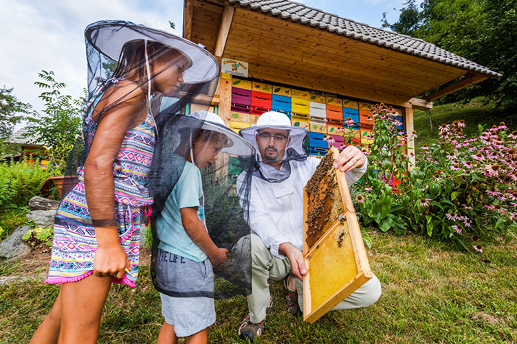 В Словении есть свой музей пчеловодства, где взрослые и дети могут понаблюдать за тем, как жужжит работа в улье.