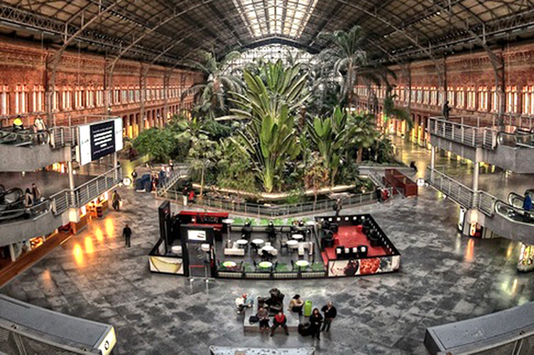 Влада Мадрида намагається озеленити якомога більше громадських місць, як-от вокзал «Аточа».