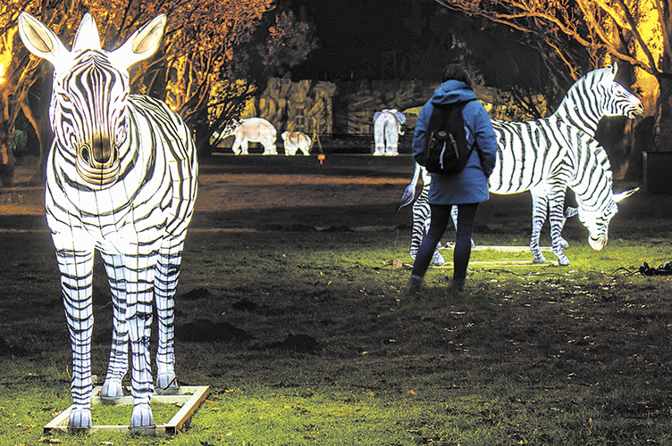 Аби відвідувачі мали інтерес приходити до зоопарку навіть увечері, звірям додали сусідів з освітленням.