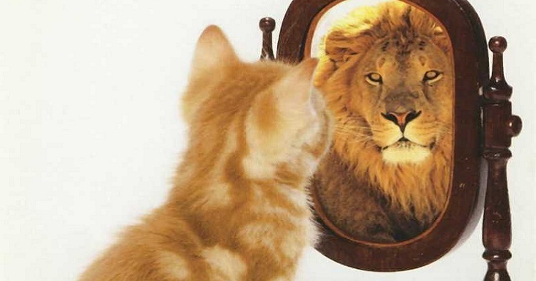 Спір із самим собою - дивина лише для суду. Коли соціальна роль не відображає погляду на самого себе, тоді її доводиться змінювати. Наприклад, з прокурора на захисника.