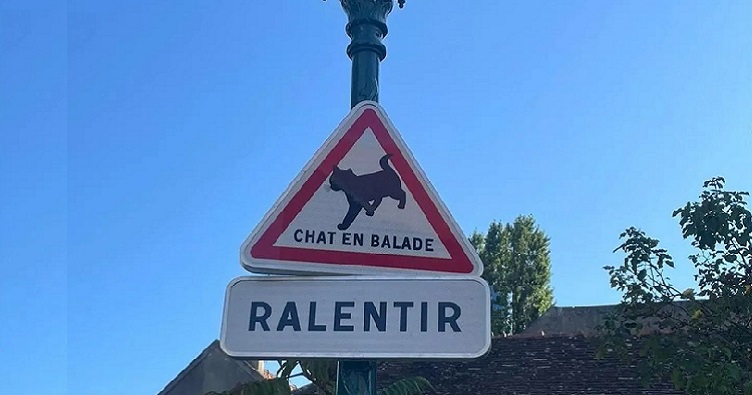 На треугольном знаке изображена черная кошка с надписью «Chat en balade» («Кот на прогулке»).