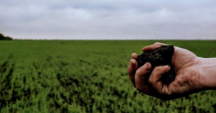 За твердженням нардепів, дія закону про дерадянизацію може залишити без землі чимало українців.