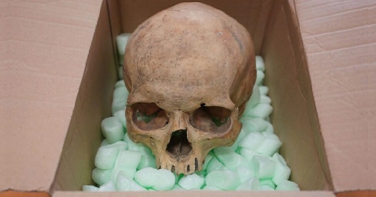 Турист, вернувший череп, так и не пояснил, зачем ему понадобился такой «сувенир».