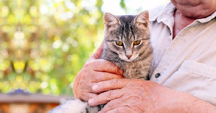 Домашні улюбленці здатні покращити емоційний і навіть фізичний стан людей похилого віку.