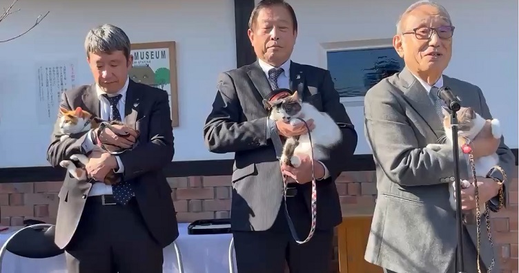 Помимо основного «станционного смотрителя» еще два кота назначены ее заместителями.