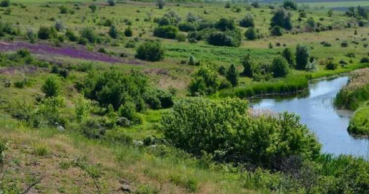 Аби не пропустити новини судової практики, підпишіться на Телеграм-канал «ЗіБ». Для цього натисність на зображення.