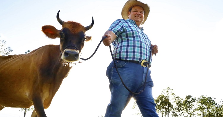 В Іспанії корови, яких не використовують для роботи, матимуть змогу проживати на фермах у комфортних умовах як домашні вихованці.