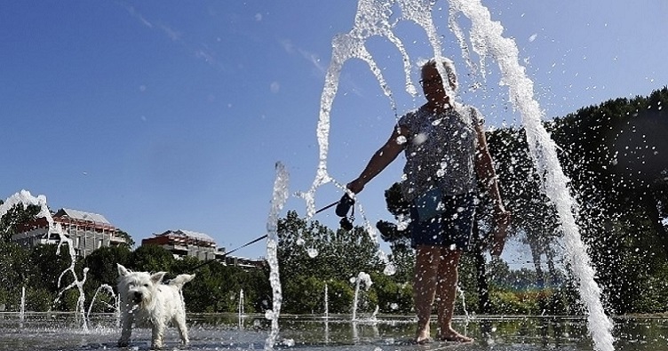 Рятуватися від спеки минулого літа доводилося і європейцям, й їхнім домашнім улюбленцям — у найближчому фонтані.