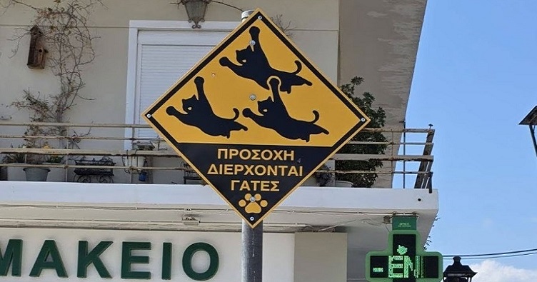 Такими необычными знаками жители острова надеются защитить «своих» кошек от гостей-водителей.