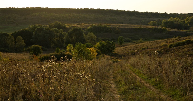 Чтобы не пропустить новости судебной практики, подписывайтесь на Телеграм-канал «ЗиБ». Для этого кликните на изображение.