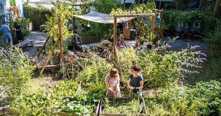 Такие коллективные сады можно найти не только на бывших пустырях и свалках, но и среди городских дворов, в детских садах и школах. Фото: Andreas Buck/ Stadt Dortmund