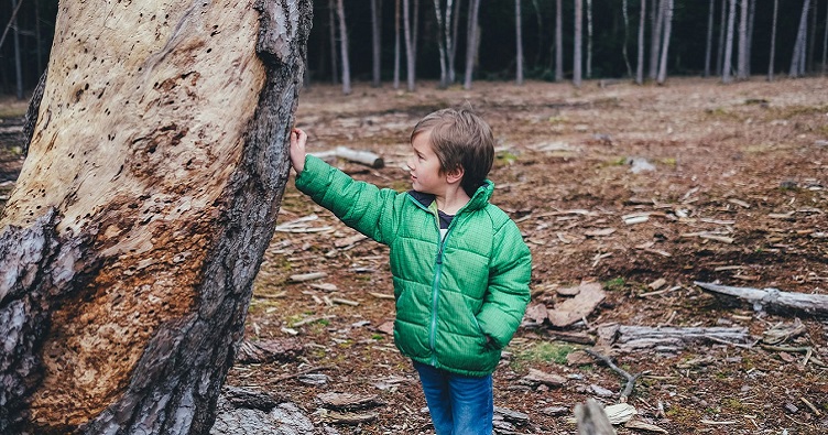 Находясь в лесу, дети учатся чувствовать связь с природой, а также укрепляют свой иммунитет.