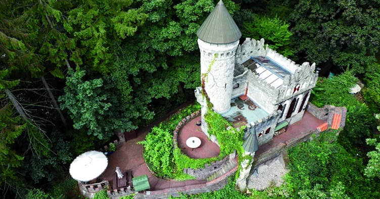 Замок Burg Henneberg розташований на спеціально створеному 15-метровому пагорбі на березі річки Альстер в північній частині Гамбурга.
