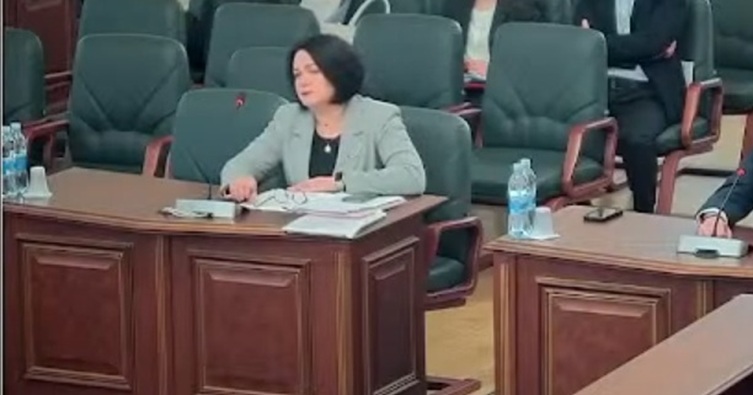 Олена Здоровиця, суддя Добропільського міськрайонного суду (скрин з відео засідання ВРП від 31.10.2024)