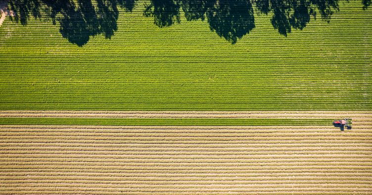 Фото: Pexels