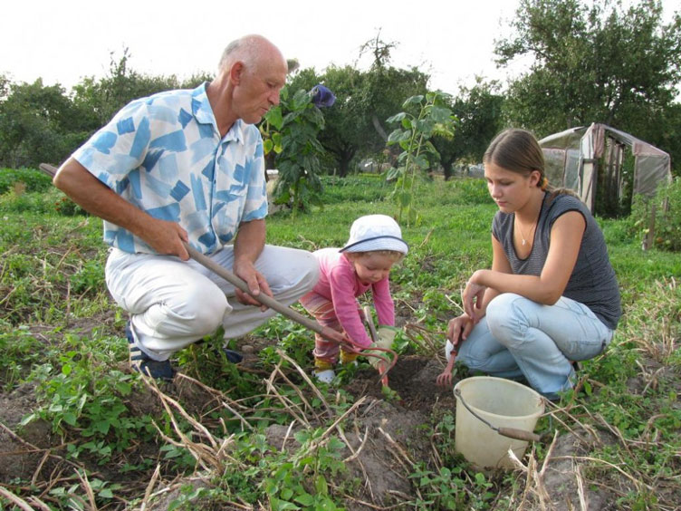 В случае сокращения количества выходных многие украинцы будут вынуждены найти 
другое время для работы на огородах.