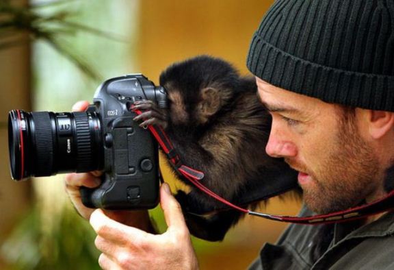 Несмотря на сидевшую у него на шее обезьяну, фотограф оказался быстрее экоинспектора.